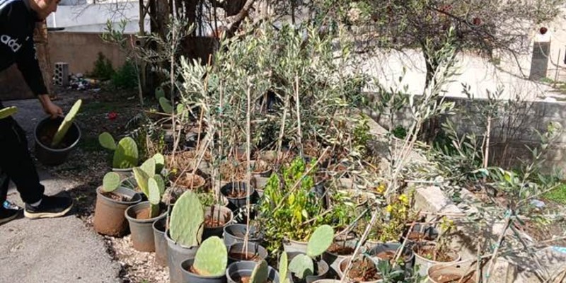 بلدية صرُبّين تُنظم ندوة زراعية حول زراعة الأشجار المثمرة