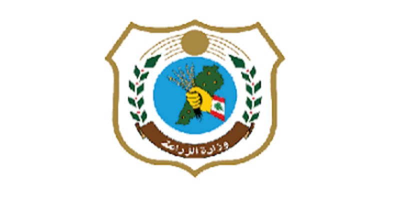 وزارة الزراعة تنشر متوسط أسعار اللحوم والخضار والفاكهة والحليب