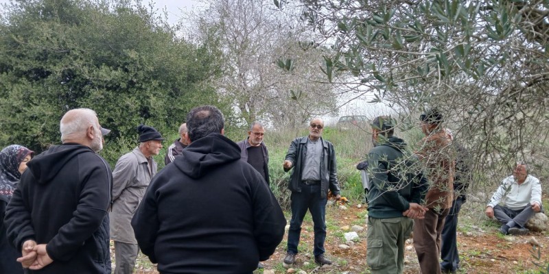 ورشة متخصصة في القنطرة لتقليم الزيتون دعمًا للإنتاج الزراعي
